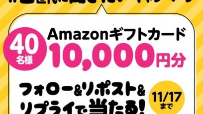 ベビータウン 販売 amazonギフト